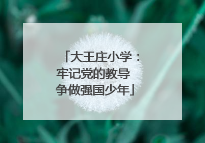 大王庄小学：牢记党的教导 争做强国少年