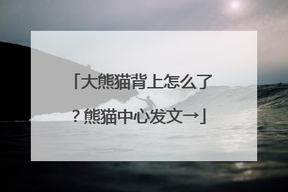 大熊猫背上怎么了？熊猫中心发文→