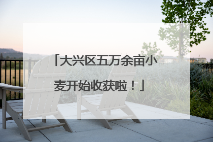 大兴区五万余亩小麦开始收获啦！