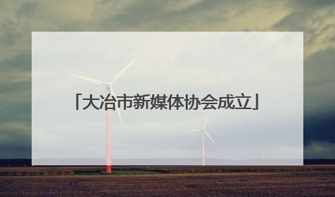 大冶市新媒体协会成立