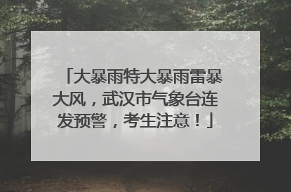 大暴雨特大暴雨雷暴大风，武汉市气象台连发预警，考生注意！