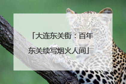 大连东关街：百年东关续写烟火人间