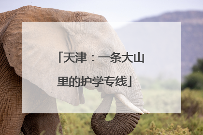 天津：一条大山里的护学专线