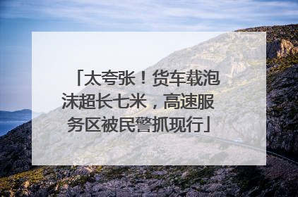 太夸张！货车载泡沫超长七米，高速服务区被民警抓现行