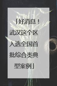 好消息！武汉这个区入选全国首批综合类典型案例
