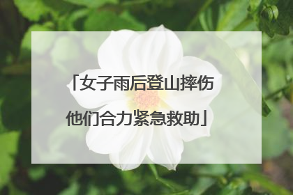 女子雨后登山摔伤 他们合力紧急救助