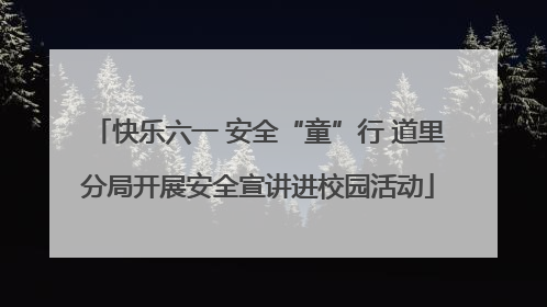 快乐六一 安全“童”行 道里分局开展安全宣讲进校园活动