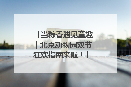 当粽香遇见童趣｜北京动物园双节狂欢指南来啦！