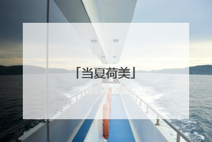 当夏荷美