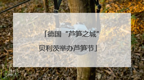 德国“芦笋之城”贝利茨举办芦笋节