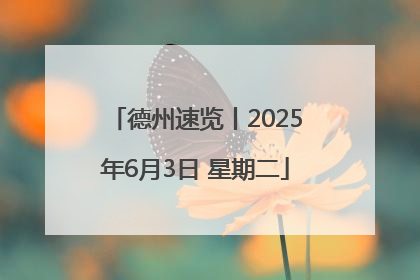 德州速览丨2025年6月3日 星期二