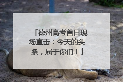 德州高考首日现场直击：今天的头条，属于你们！