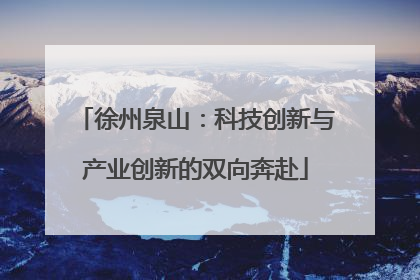 徐州泉山：科技创新与产业创新的双向奔赴