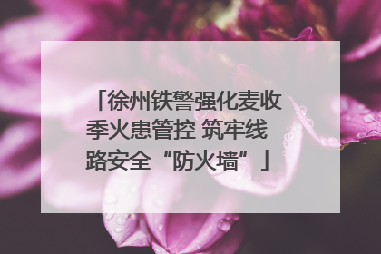 徐州铁警强化麦收季火患管控 筑牢线路安全“防火墙”