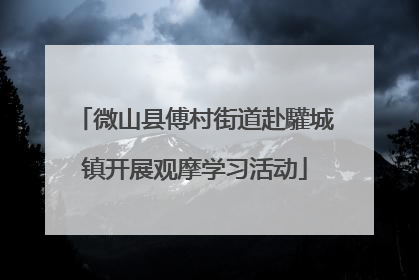 微山县傅村街道赴驩城镇开展观摩学习活动
