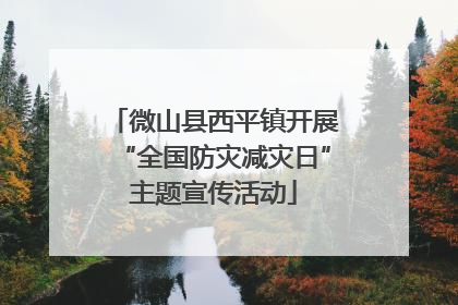 微山县西平镇开展“全国防灾减灾日”主题宣传活动
