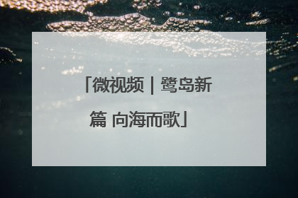 微视频｜鹭岛新篇 向海而歌