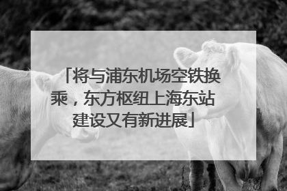 将与浦东机场空铁换乘，东方枢纽上海东站建设又有新进展