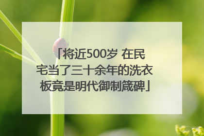将近500岁 在民宅当了三十余年的洗衣板竟是明代御制箴碑