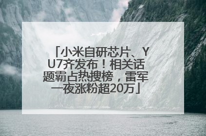 小米自研芯片、YU7齐发布！相关话题霸占热搜榜，雷军一夜涨粉超20万