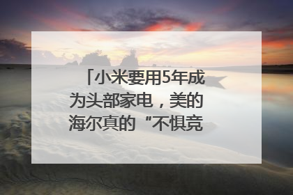 小米要用5年成为头部家电，美的海尔真的“不惧竞争”？｜热财经