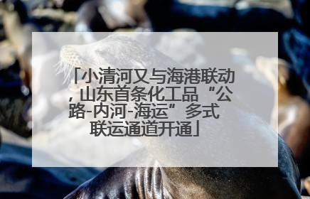 小清河又与海港联动，山东首条化工品“公路-内河-海运”多式联运通道开通
