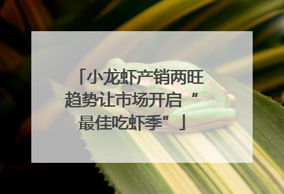 小龙虾产销两旺趋势让市场开启“最佳吃虾季”