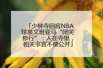 少林寺回应NBA球星文班亚马“闭关修行”：人在寺里，相关事宜不便公开