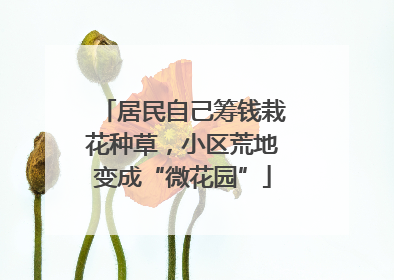 居民自己筹钱栽花种草，小区荒地变成“微花园”