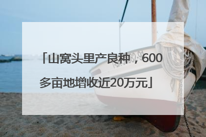 山窝头里产良种，600多亩地增收近20万元