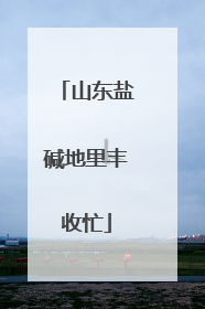 山东盐碱地里丰收忙