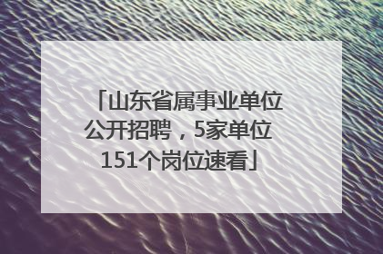 山东省属事业单位公开招聘，5家单位151个岗位速看
