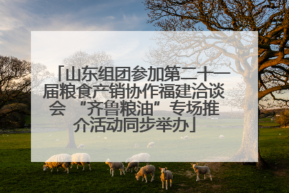 山东组团参加第二十一届粮食产销协作福建洽谈会 “齐鲁粮油”专场推介活动同步举办