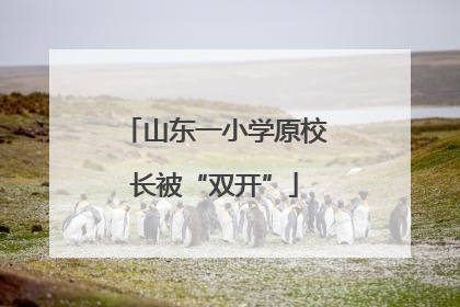 山东一小学原校长被“双开”
