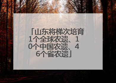 山东将梯次培育1个全球农遗、10个中国农遗、46个省农遗
