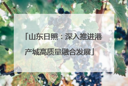 山东日照：深入推进港产城高质量融合发展