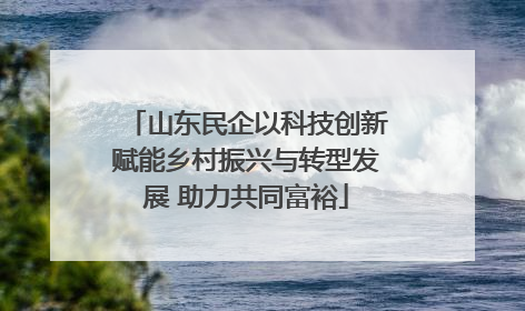 山东民企以科技创新赋能乡村振兴与转型发展 助力共同富裕