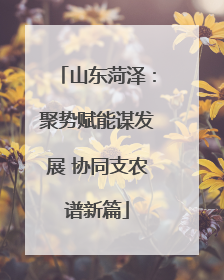 山东菏泽：聚势赋能谋发展 协同支农谱新篇