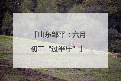 山东邹平：六月初二“过半年”