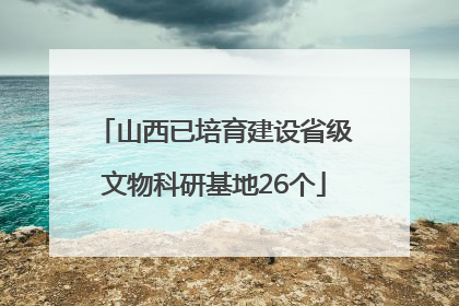山西已培育建设省级文物科研基地26个