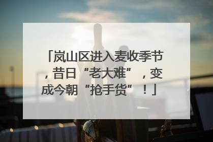 岚山区进入麦收季节，昔日“老大难”，变成今朝“抢手货”！