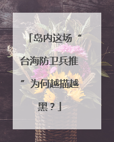 岛内这场“台海防卫兵推”为何越描越黑？