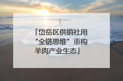 岱岳区供销社用“全链思维”重构羊肉产业生态