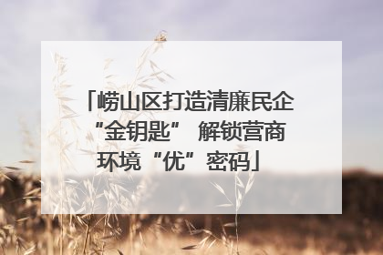 崂山区打造清廉民企“金钥匙” 解锁营商环境“优”密码