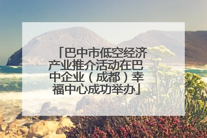 巴中市低空经济产业推介活动在巴中企业（成都）幸福中心成功举办