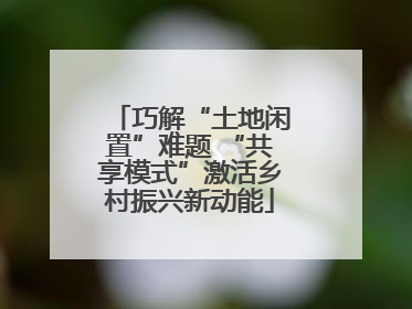 巧解“土地闲置”难题 “共享模式”激活乡村振兴新动能