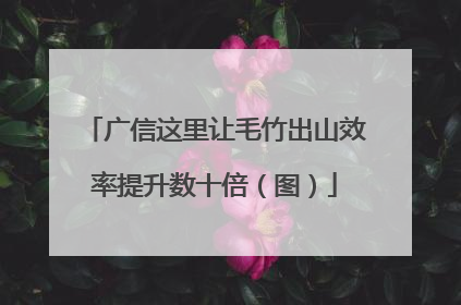 广信这里让毛竹出山效率提升数十倍（图）