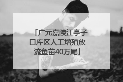 广元嘉陵江亭子口库区人工增殖放流鱼苗40万尾