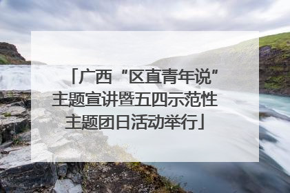 广西“区直青年说”主题宣讲暨五四示范性主题团日活动举行