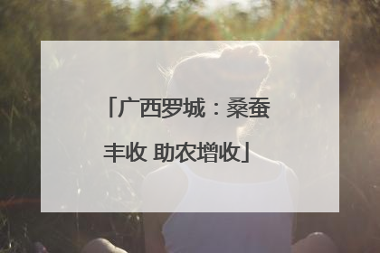 广西罗城：桑蚕丰收 助农增收